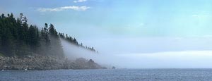 Fog Stream!