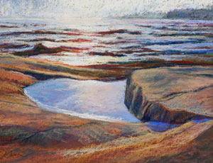Tidal Pool
